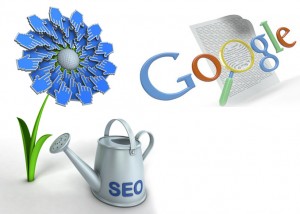 professional seo companies in fort lauderdale